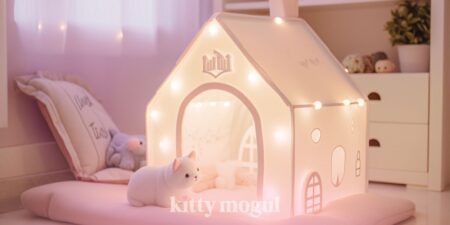 Kitty Mogul Creator Business & Marketing Blog